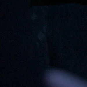 Meet your Posher, Evelyn